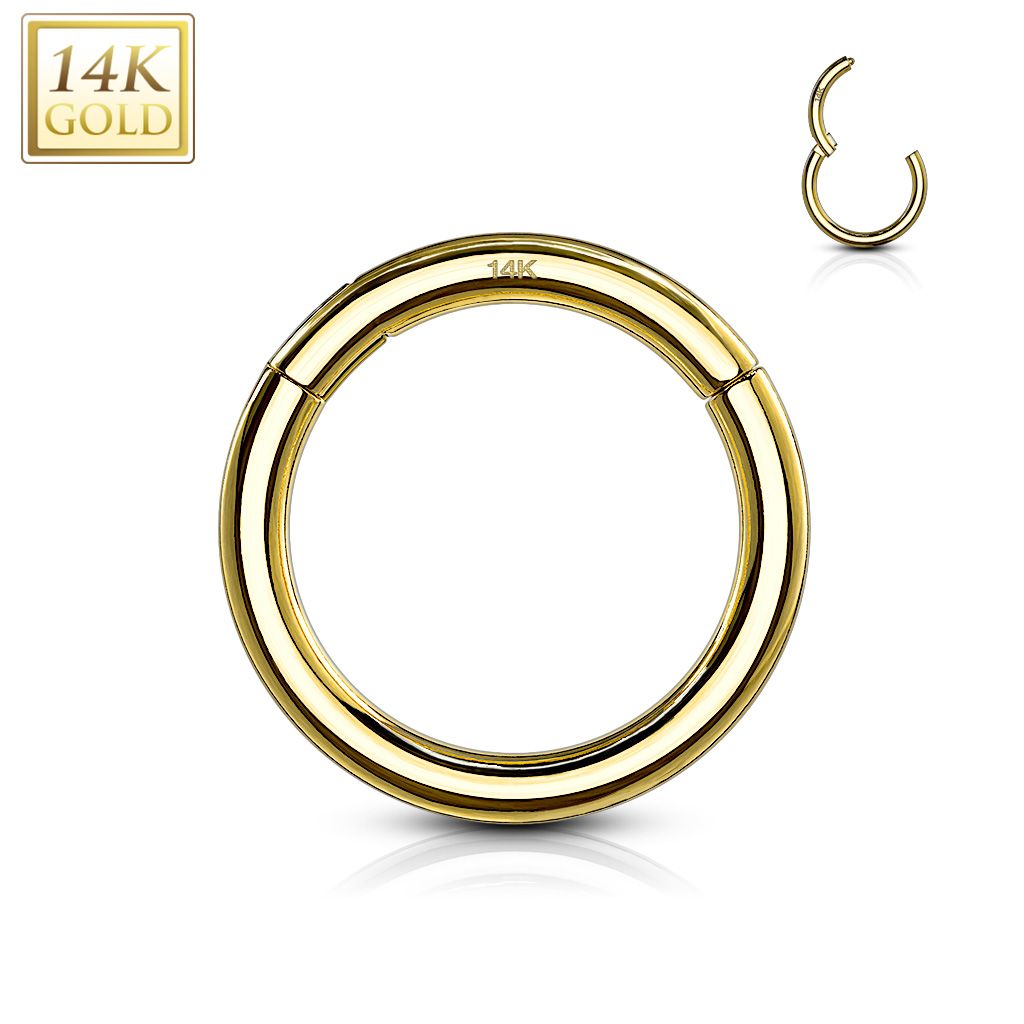 Precision Hinged Segment Rings