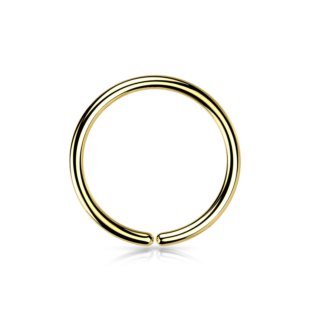 Titanium PVD Plated Seamless Hoop