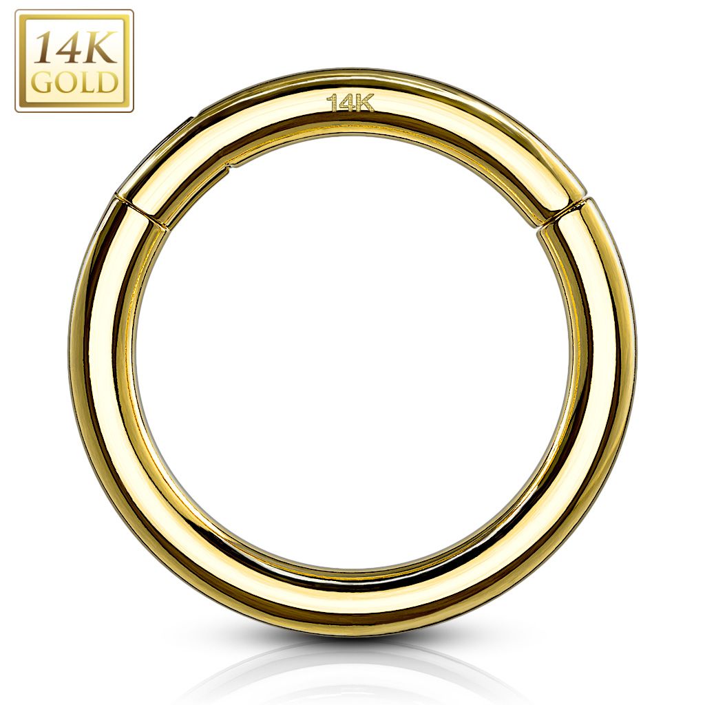 Precision Hinged Segment Rings
